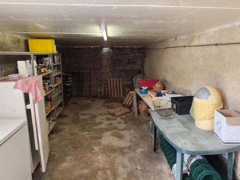 photo no. 12