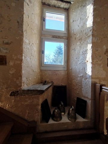 photo no. 17
