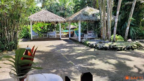 photo no. 3