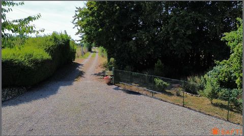photo no. 16