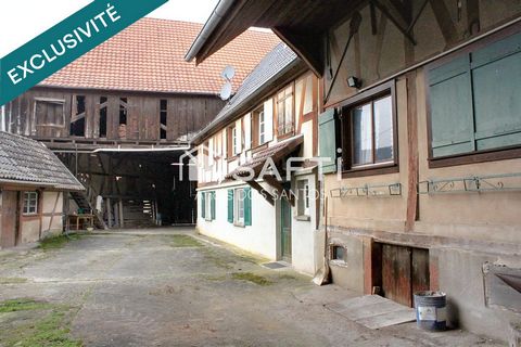photo no. 9