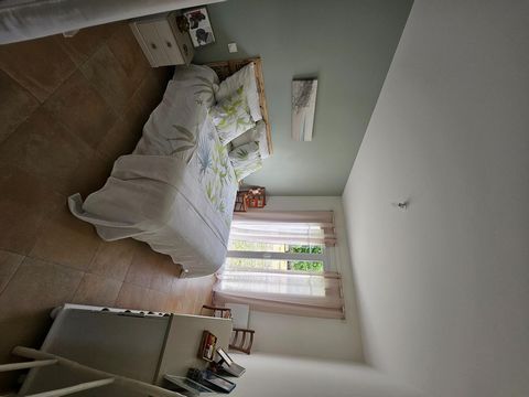 photo no. 11