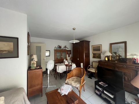 photo no. 6