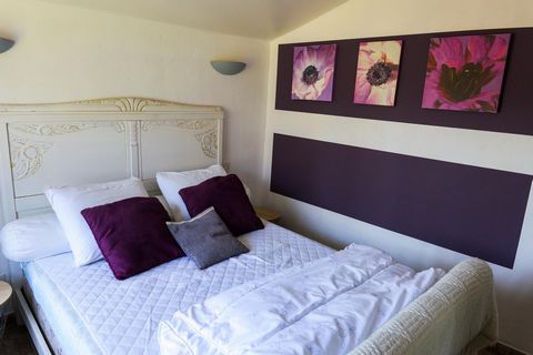 photo no. 12