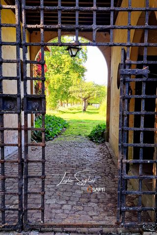 photo no. 10