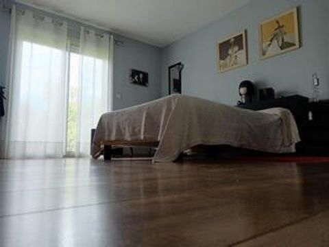 photo no. 6