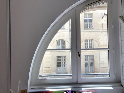 photo no. 5