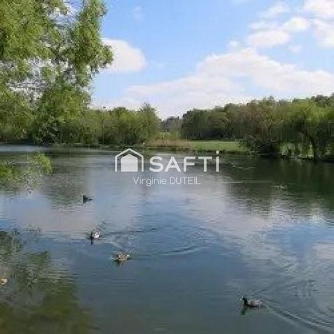 photo no. 10