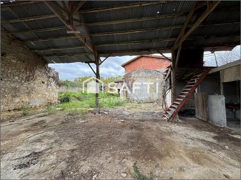 photo no. 6