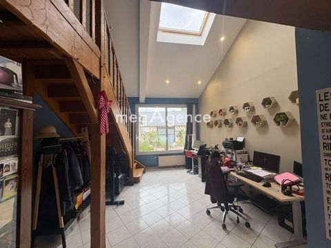 photo no. 10