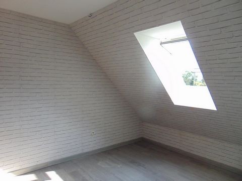 photo no. 8
