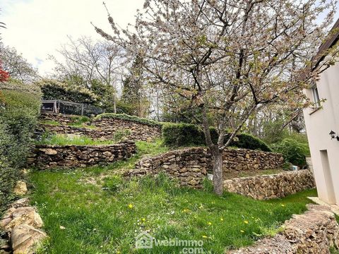 photo no. 15