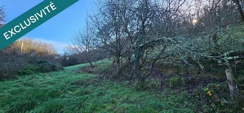 Terrain de loisirs 2,2ha + petite grange