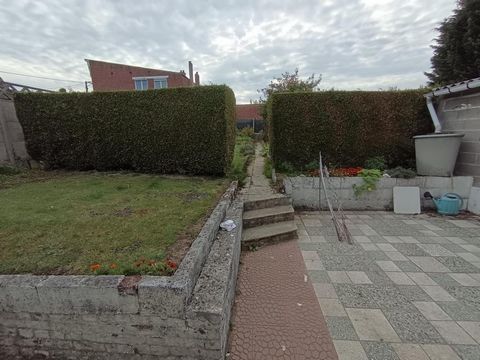 photo no. 5
