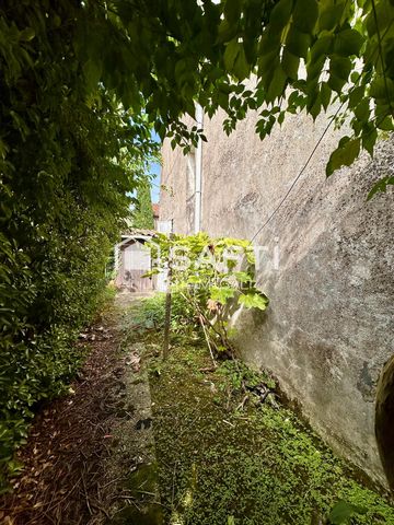 photo no. 11