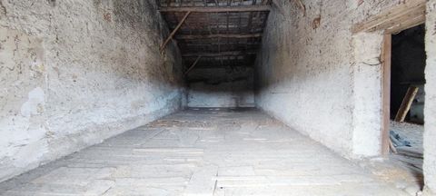 photo no. 10