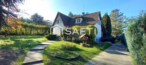 photo no. 19