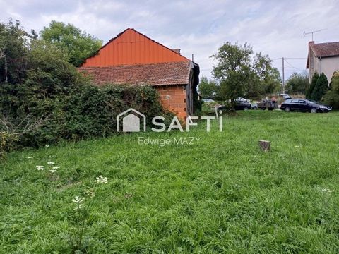 photo no. 13