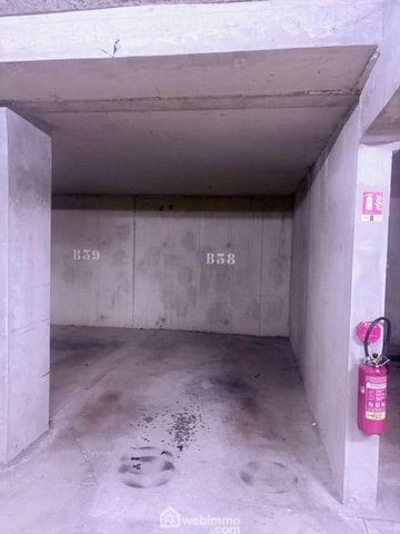 photo no. 8