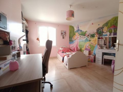photo no. 12