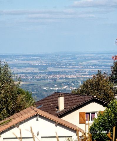 photo no. 4
