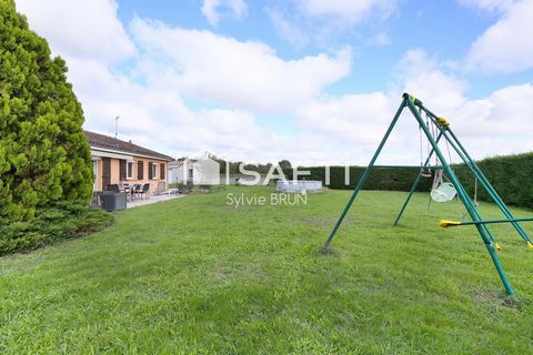 photo no. 10