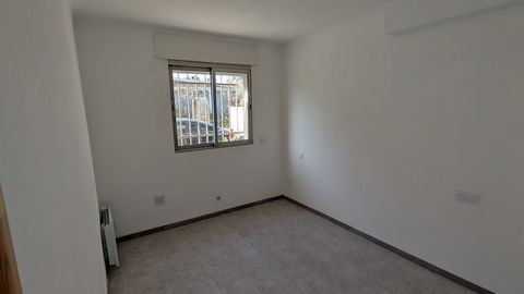 photo no. 19