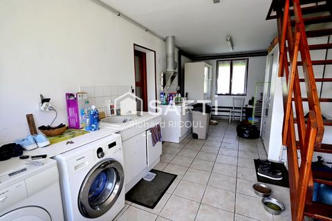photo no. 10
