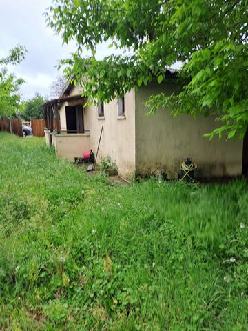 photo no. 2