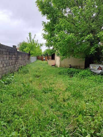 photo no. 4