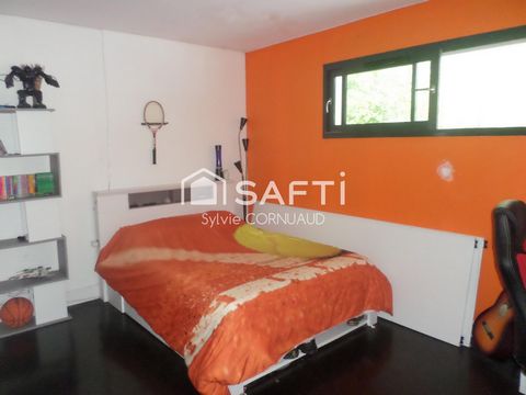 photo no. 11