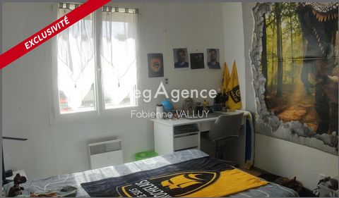 photo no. 10