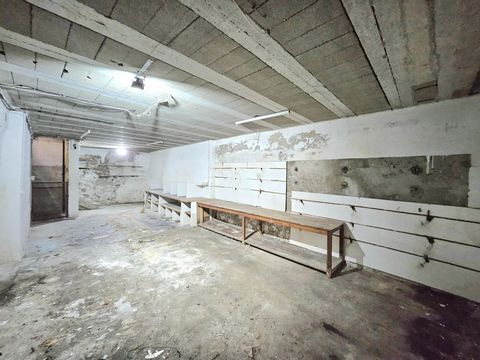 photo no. 10