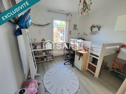 photo no. 11