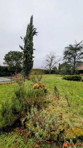 photo no. 15