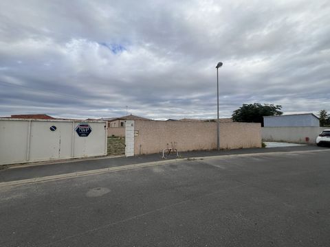 photo no. 6