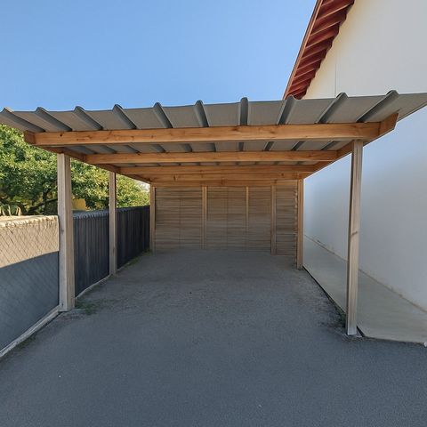 photo no. 11