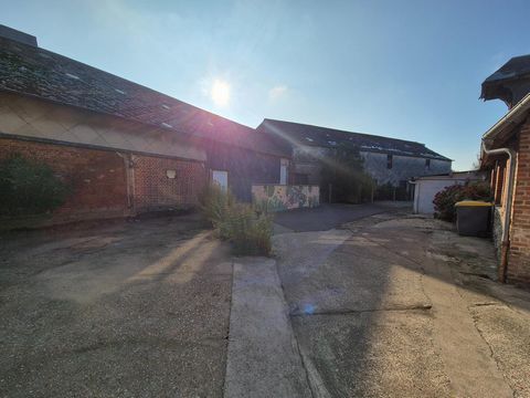photo no. 6
