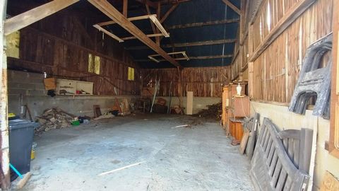 photo no. 13