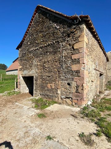 photo no. 4