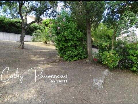 photo no. 9