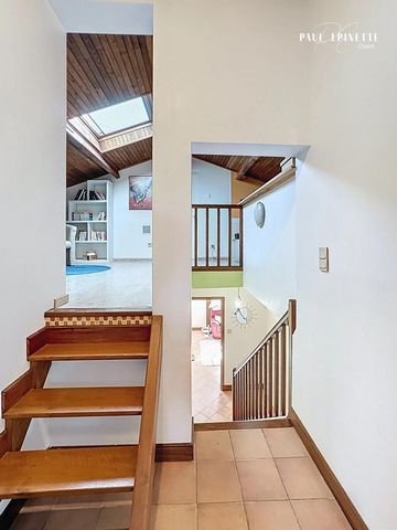 photo no. 11