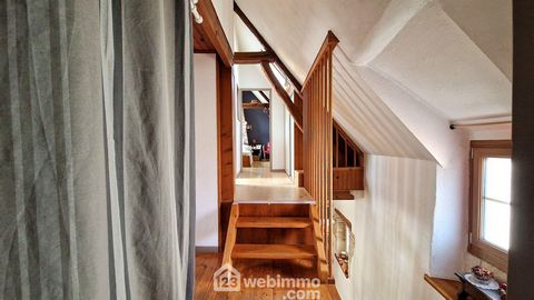 photo no. 12
