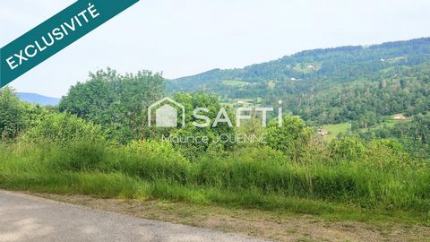photo no. 12