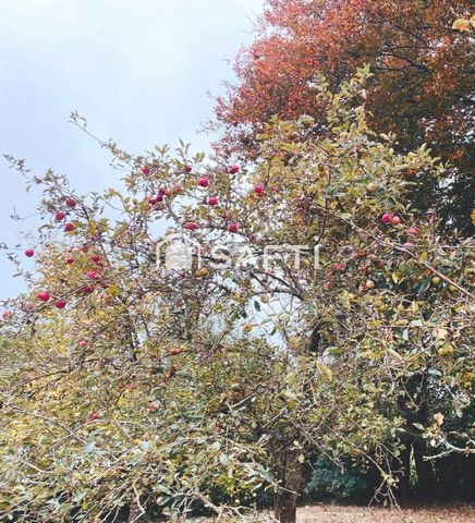 photo no. 9