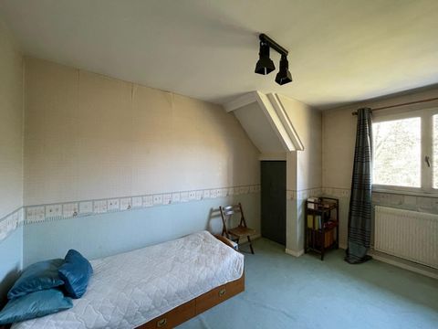 photo no. 6