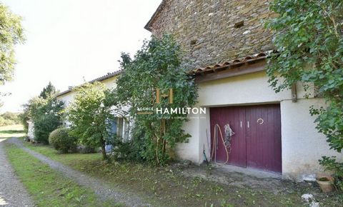 photo no. 11
