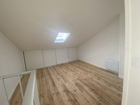 photo no. 7