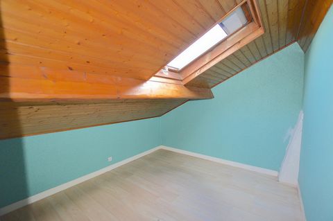 photo no. 7