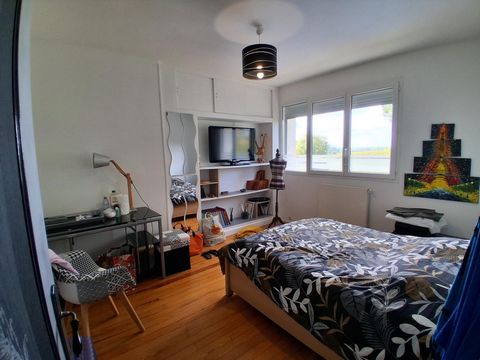 photo no. 13